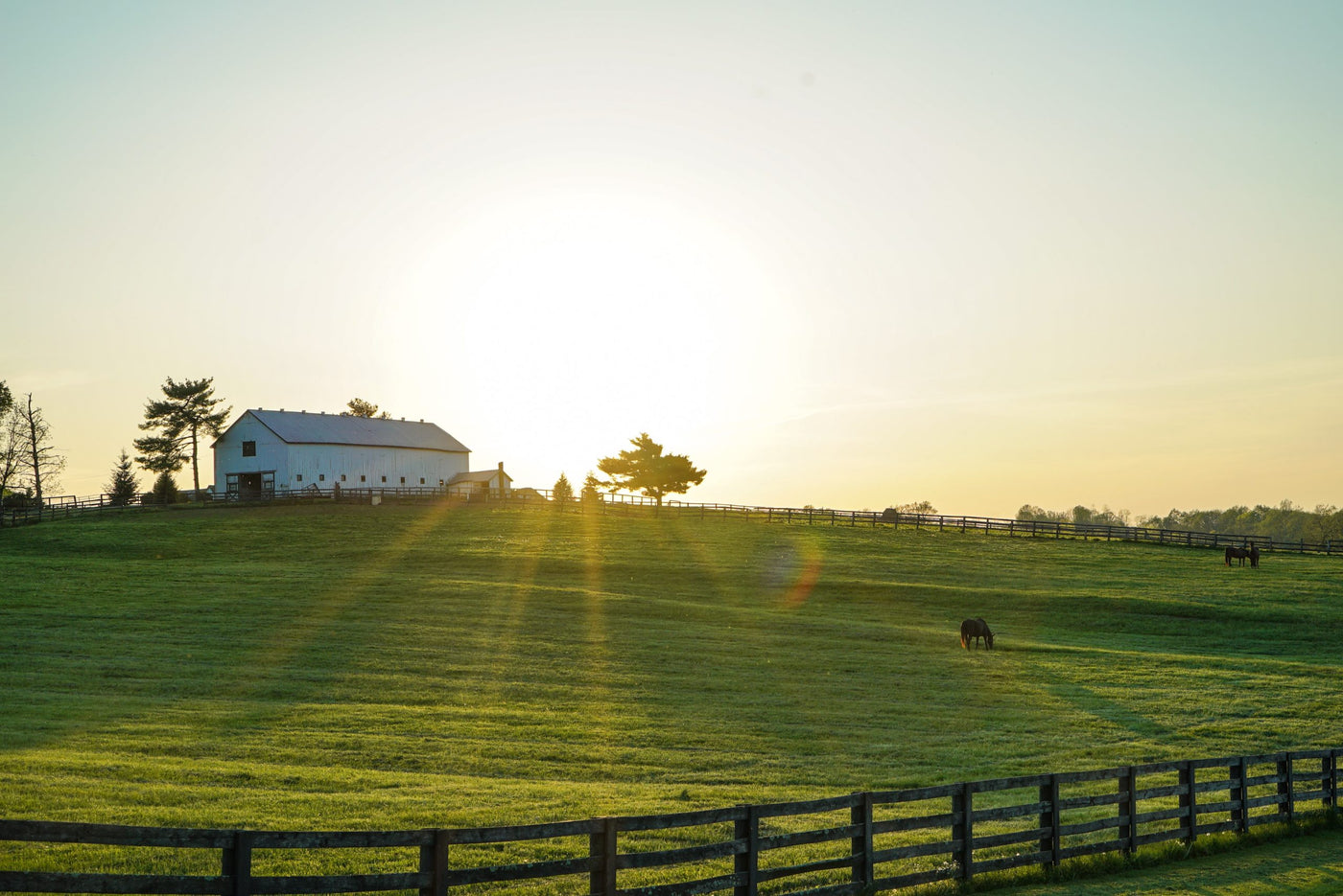 How Fiber Broadband Serves Rural America